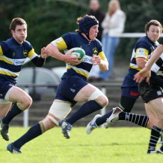 Dolphin Extend Home Record By Toppling ‘Tarf