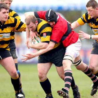 Home Comfort For Young Munster