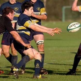 Winning Run Continues For Dolphin