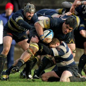 Dolphin Dig Deep At Fortress ‘Muzzer’