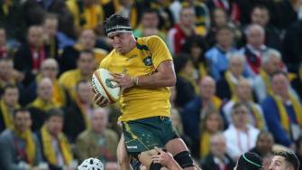 Leinster Confirm Capture Of Wallaby Douglas