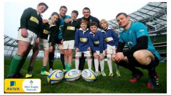 Teams Announced For Aviva Minis Festival