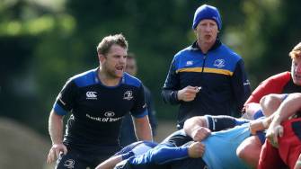 Cullen: Wasps Have A Lot Of Dangerous Threats