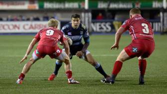 Munster Sign Amorosino And Doyle On Short-Term Deals