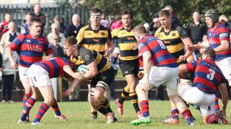 Young Munster Coach Departs ‘Due To Personal Reasons’