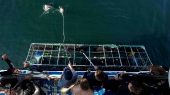 Tour Diary – SharkCopter