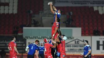 Late Rally Not Enough For Leinster In Llanelli