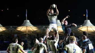 Losing Bonus Point Is Leinster’s Only Reward