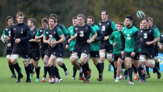 Ireland Squad Training At Carton House, Wednesday, November 12, 2014