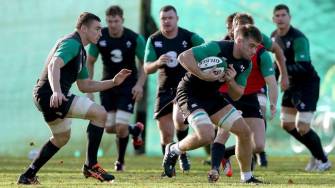 Ireland Squad Training At Carton House, Friday, November 14, 2014