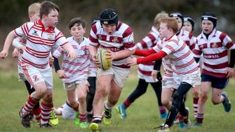 Aviva Mini Rugby Festival – Munster Leg, UL Bohemian RFC, Sunday, April 8, 2018