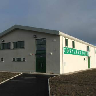 Connacht Rugby Gym, The Sportsground, Galway, January 2009