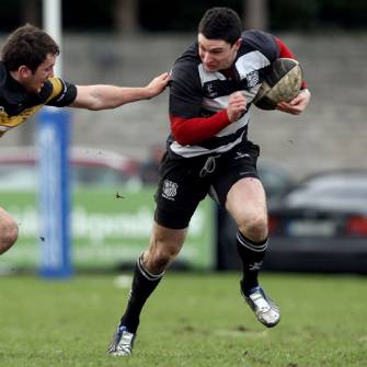 Old Belvedere Back On Top