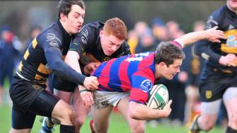 Clontarf Come Through Greenfields Test