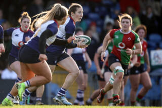 Clovers & Wolfhounds