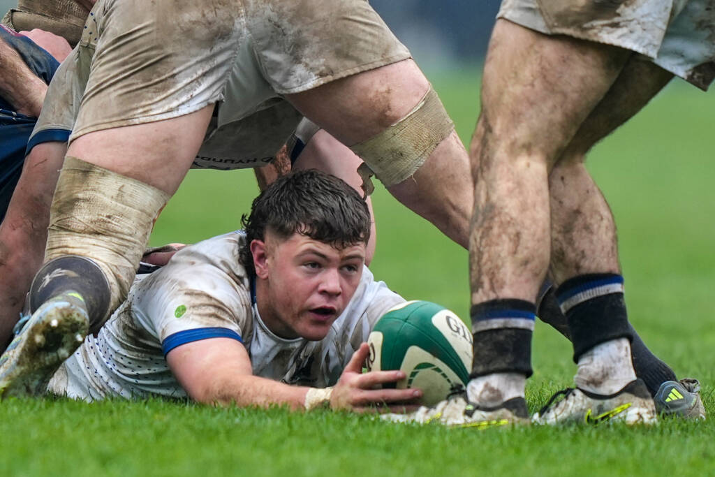 Irish Rugby | Cork Constitution: Route To The #EnergiaAIL Final