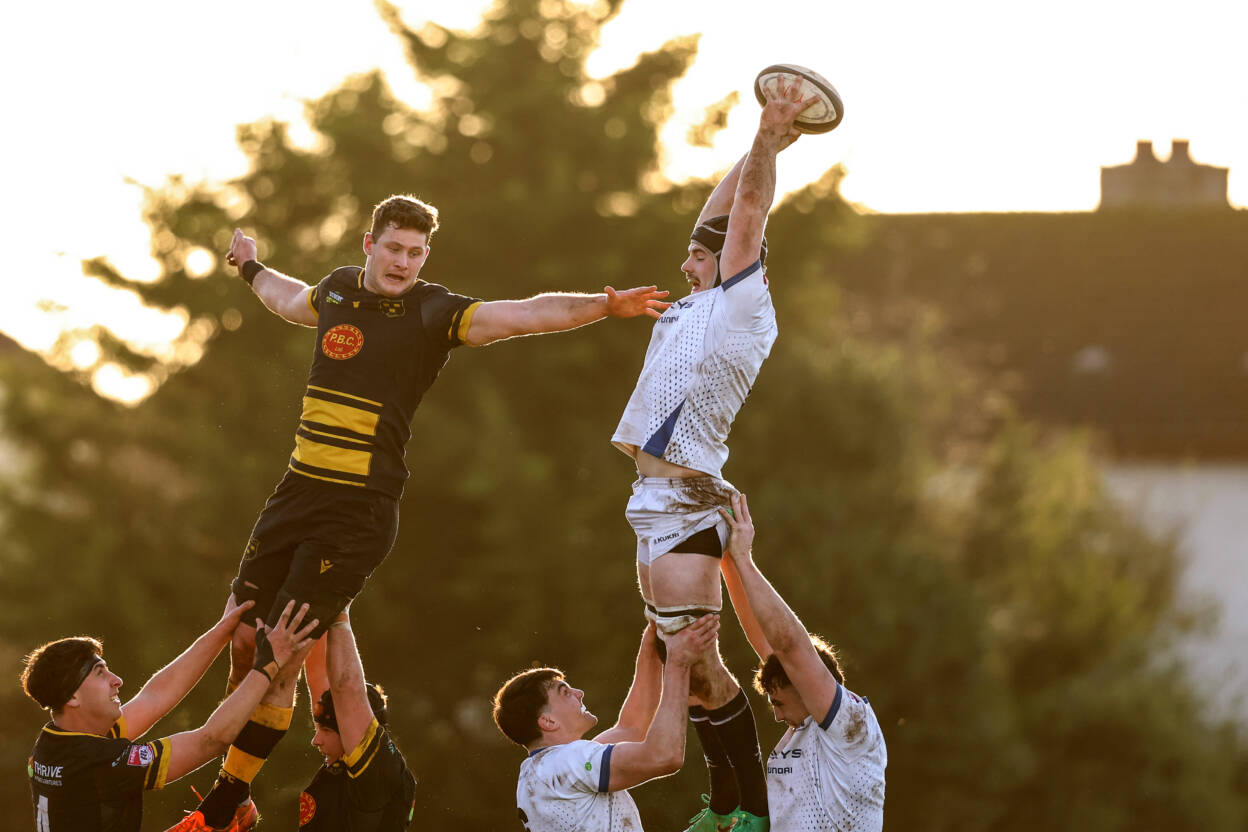 Cork Con Show Mettle To Overcome Gilvarry-Inspired Cookies