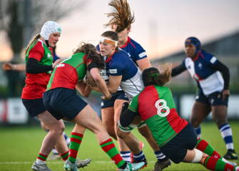 Celtic Challenge: Clovers v Wolfhounds Highlights