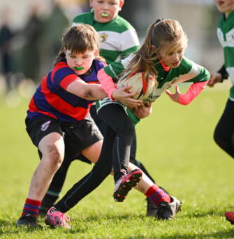Aviva Minis Rugby Festivals in Leinster and Ulster